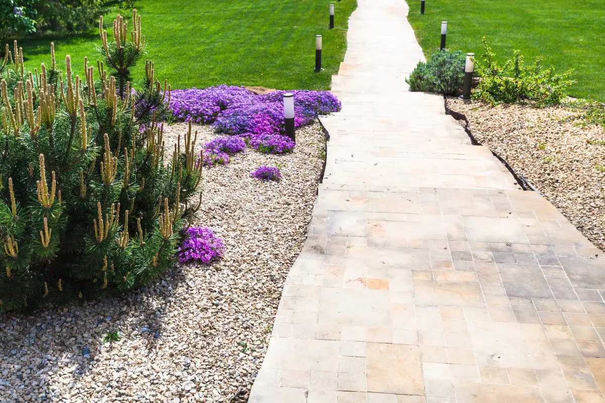 How To Landscape A Steep Slope On A Budget