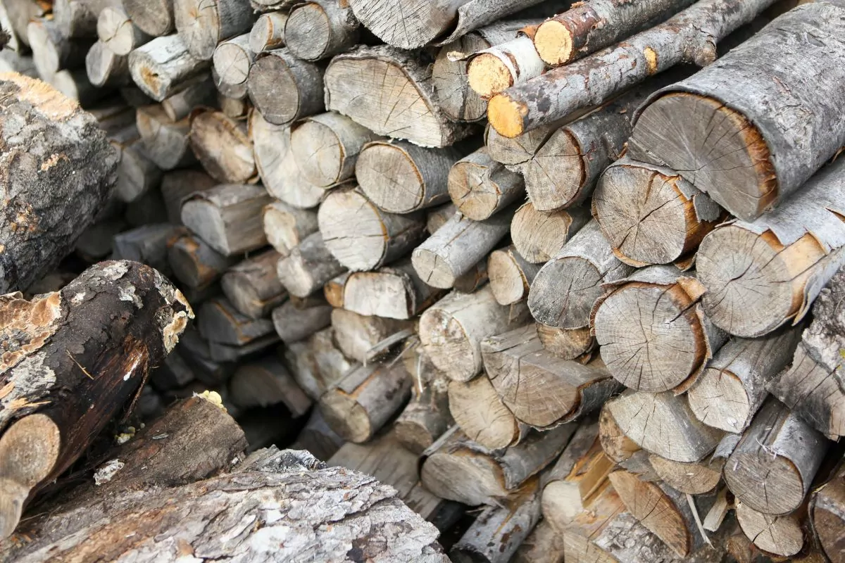 how much is a cord of wood?